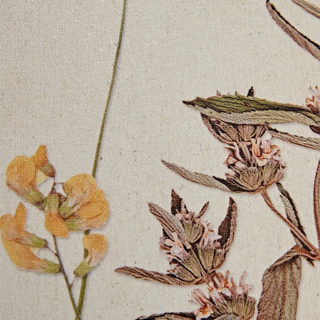 2pc French Herbarium Framed Linen Canvas - Martha Stewart - Mindful Living Home