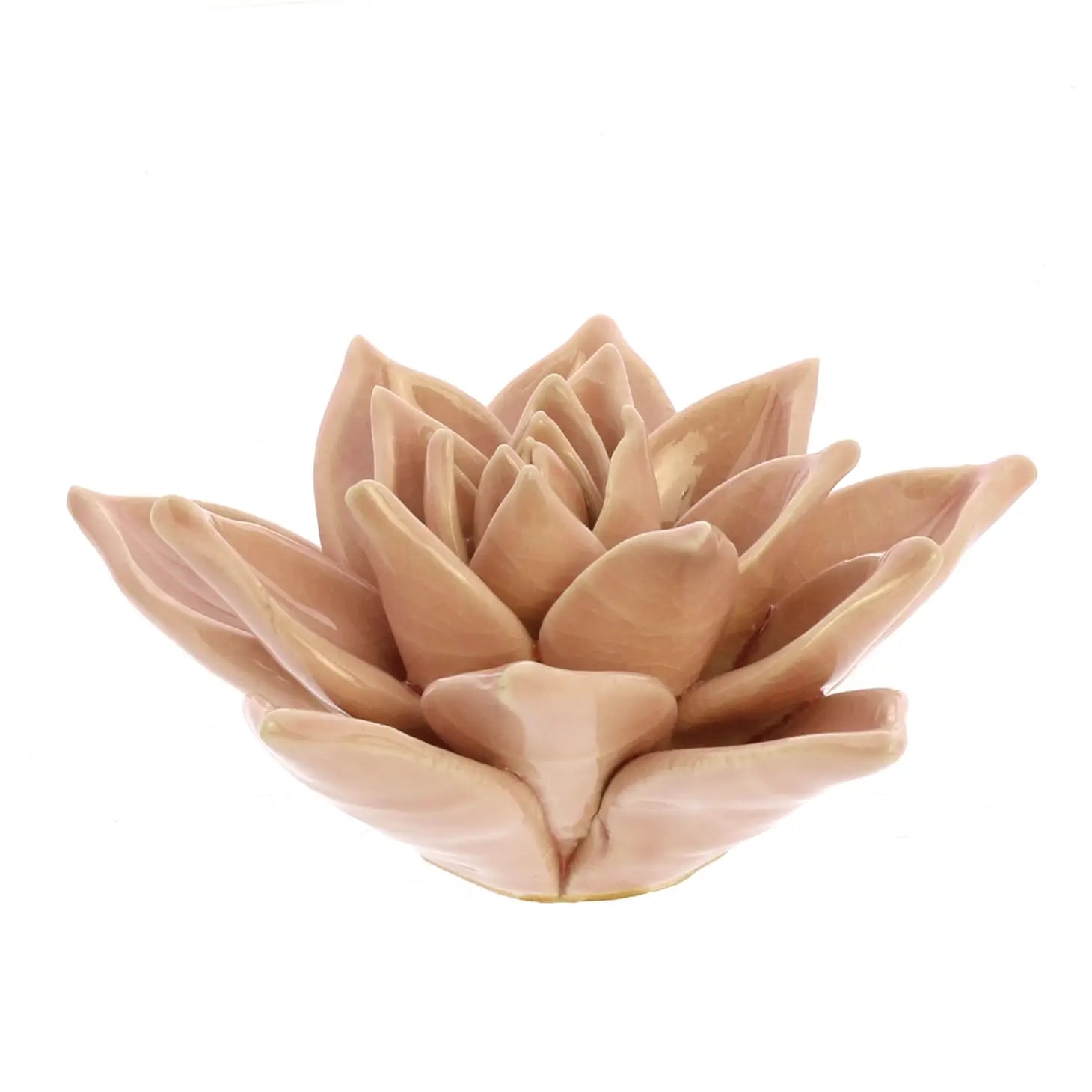 Ceramic Succulent - Blush - Mindful Living Home