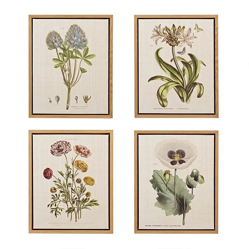 Martha Stewart Herbal Botany Framed Linen Canvas 4 Piece Set - Mindful Living Home