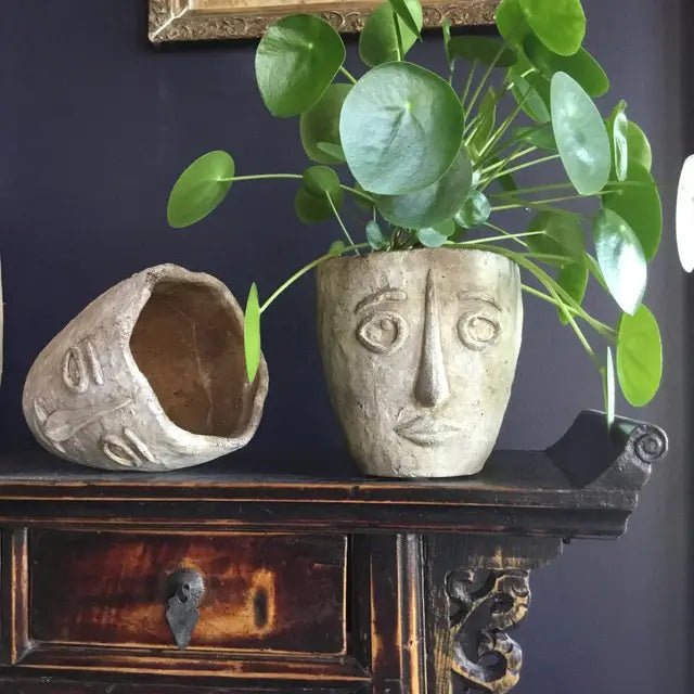 Picasso Cement Planter - Mindful Living Home