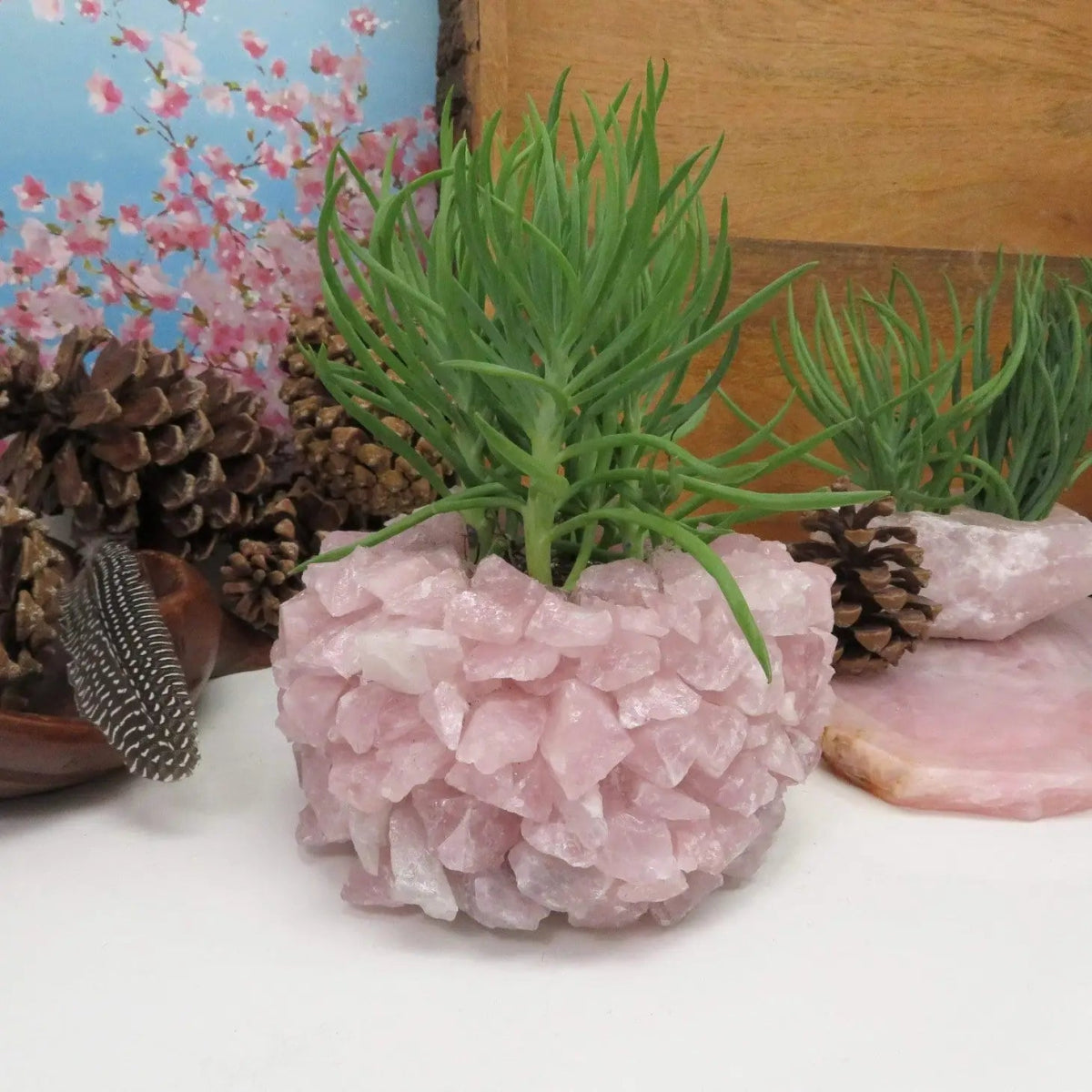 Rose Quartz Planter Pot - Mindful Living Home
